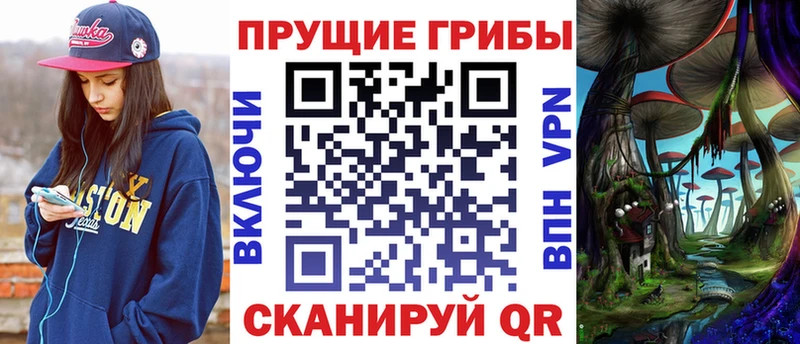 Галлюциногенные грибы прущие грибы Кисловодск